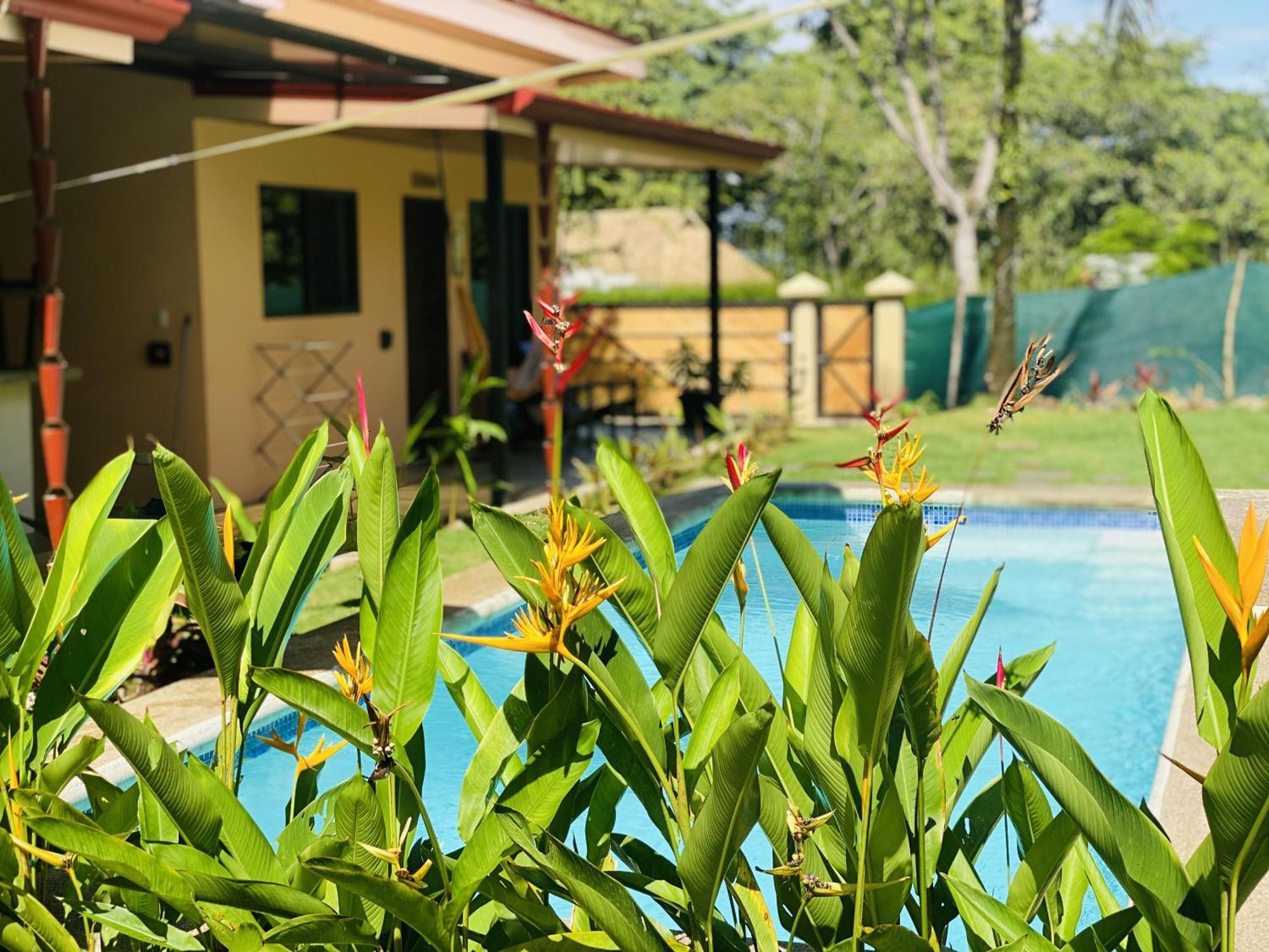 Brahman Bungalows On Pavones Point Pokój zdjęcie
